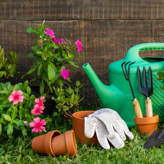 plants-pot-with-watering-can_23-2148905231